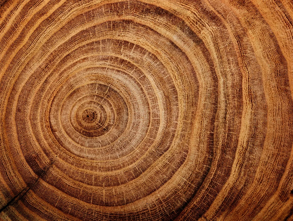 Natural wood grain texture — Van Braam Design